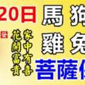 6月20日生肖運勢_馬、狗、豬大吉