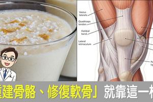 連醫師都說讚！三分鐘「健骨護膝飲」每天喝，修復骨骼、軟骨自己長，80歲依舊勇健！