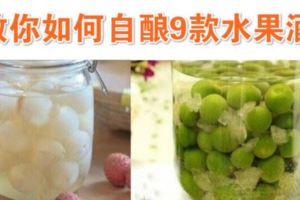九款自釀水果酒的做法，照著這樣做絕對比商店賣的好喝！