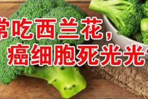 常吃西蘭花，癌細胞死光光？這些抗癌食物靠譜嗎？