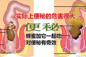 蜂蜜加它一起吃，對便秘有奇效，效果顯而易見，不信你試試