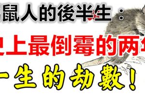 屬鼠人的後半生：史上最倒黴的兩年，一生的劫數！
