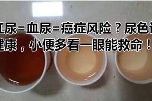 紅尿=血尿=癌症風險？尿色識健康，小便多看一眼能救命！