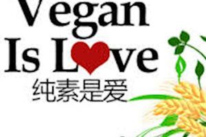 這些純素食會給你的餐桌帶來不一樣的色彩,又有一道拿肉都不換的美食了