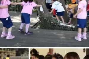 你知道日本幼兒園到底教什麼？答案讓很多家長感嘆不已！