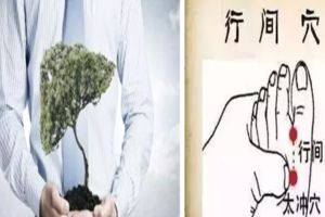 養肝，老天還給了你20天時間！再不養，小心百病纏身~