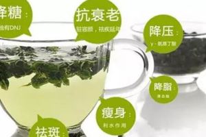 桑葉泡水的6大功效，特別是治療糖尿病