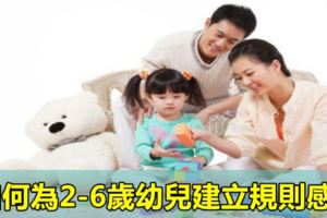 如何為2-6歲幼兒建立規則感？