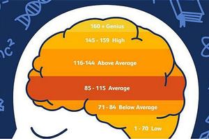 拼完成績拼什麼？揭秘剛被牛津劍橋預錄取的100位中國學子