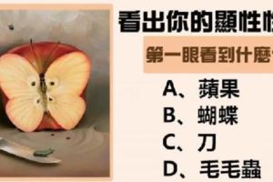 【直覺測驗】你第一眼看到什麼？看出你不為人知的雙面性格！