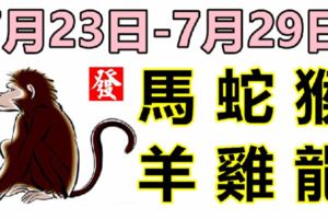 12生肖一周運勢（7.23—7.29）