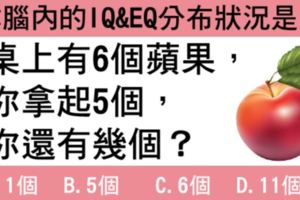 【超神準心理測驗】你腦內的IQ&EQ分佈狀況是？