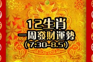 12生肖一周發財運勢【7.30-8.5】