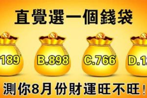 直覺測試：直覺選一個錢袋，測你8月份財運旺不旺！好準！