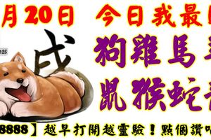 8月20日，今日我最旺！狗雞馬羊鼠猴蛇龍！【38888】越早打開越靈驗！點個讚吧！