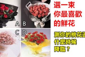 心理測試：選一束你最喜歡的鮮花，測你的桃花運什麼時候降臨？