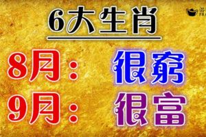 六大生肖：8月很窮，9月很富