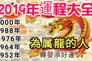 不同年份的生肖龍，2019年運程大全