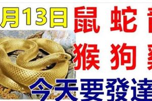 9月13日生肖運勢_鼠、蛇、龍大吉