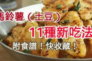 11種馬鈴薯（土豆）美味吃法，附食譜任你收藏！！