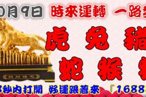 10月9日時來運轉一路發，虎兔豬蛇猴狗，88秒內打開，好運跟著來『16888』