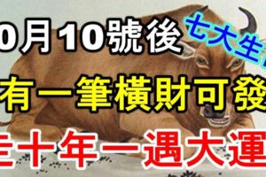 10月10號後，有一筆橫財可發，走十年一遇大運的七大生肖！