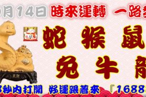 10月14日時來運轉一路發，蛇猴鼠兔牛龍，88秒內打開，好運跟著來『16888』