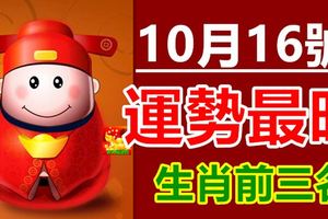 10月16號運勢最旺生肖前三名