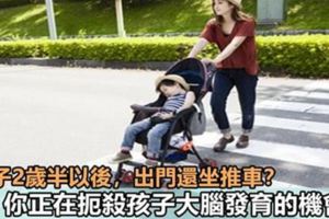 孩子兩歲半以後，出門還坐推車？你正在扼殺孩子大腦發育的機會