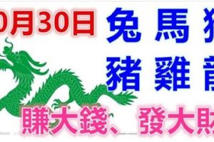 10月30日生肖運勢_兔、馬、猴大吉