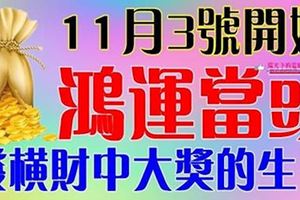 11月3號開始鴻運當頭，發橫財中大獎的生肖