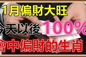 11月偏財大旺，今天以後100%會中偏財的生肖！