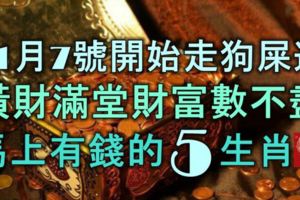 11月7號開始走「狗屎運」，橫財滿堂，財富數不盡，馬上有錢的5大生肖！