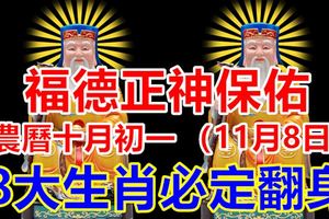 福德正神保佑農曆十月初一（11月8日）8大生肖必定翻身。