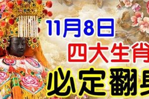 11月8日開始，四大生肖，必定翻身走運