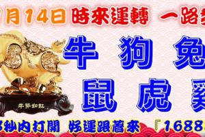 11月14日時來運轉一路發，牛狗兔鼠虎雞，88秒內打開，好運跟著來『16888』