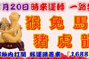 11月20日時來運轉一路發，猴兔馬豬虎龍，88秒內打開，好運跟著來『16888』