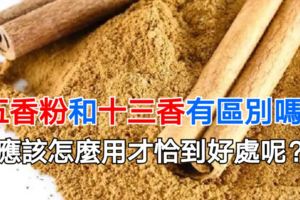 五香粉和十三香有區別嗎？應該怎麼用才恰到好處呢？