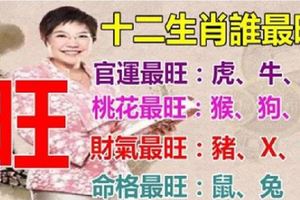 大師解命：12生肖誰最旺！