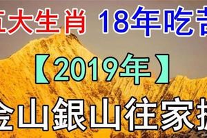 算命的說：這幾大生肖今年吃苦受累，亥豬年金山銀山往家搬。