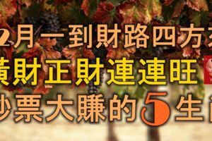 12月一到，財路四方來，橫財正財連旺，鈔票大賺的5大生肖！