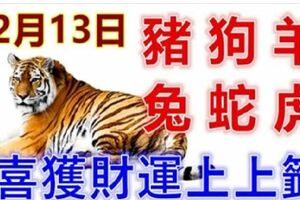 12月13日生肖運勢_豬、狗、羊大吉