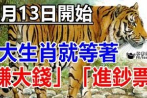 12月13日開始，7大生肖就等著賺大錢，進鈔票