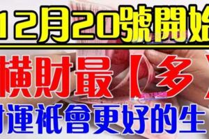 12月20號開始，財運只會「更好」的生肖