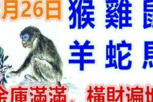 12月26日生肖運勢_猴、雞、鼠大吉