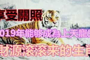 【開掛】2019年能夠成為上天寵兒，享受關照，財源滾滾來的生肖！