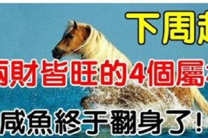 下周起時來運轉的4個屬相，兩財皆旺，鹹魚終於翻身了