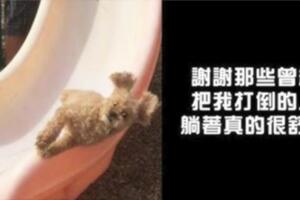 每天來點負能量！20句超寫實「厭世語錄」看完竟然有被治癒的感覺