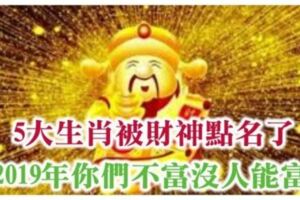 5大生肖被財神點名了！2019年你們不富沒人能富！