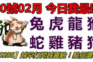 20號02月，今日我最旺！兔虎龍猴蛇雞豬狗！【90288】越早打開越靈驗！點個讚吧！